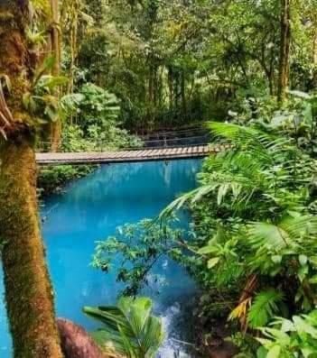 Cabinas El Pilon Rio Celeste Exterior photo
